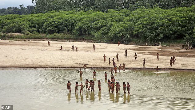 Existential Threat to Uncontacted Mashco Piro Tribe in Peruvian Amazon Due to Disease Vulnerability