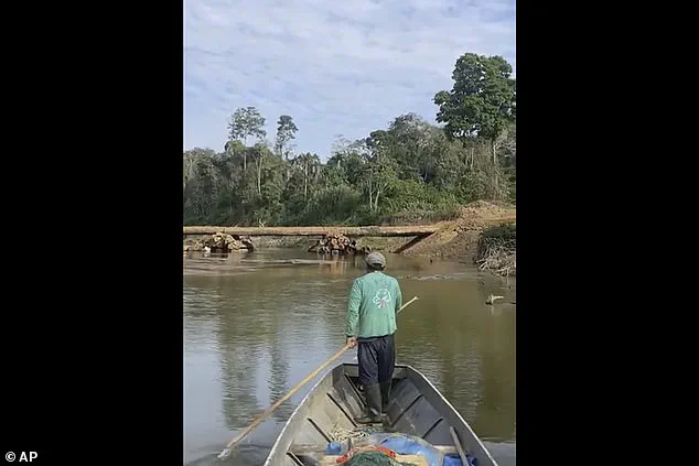 Existential Threat to Uncontacted Mashco Piro Tribe in Peruvian Amazon Due to Disease Vulnerability