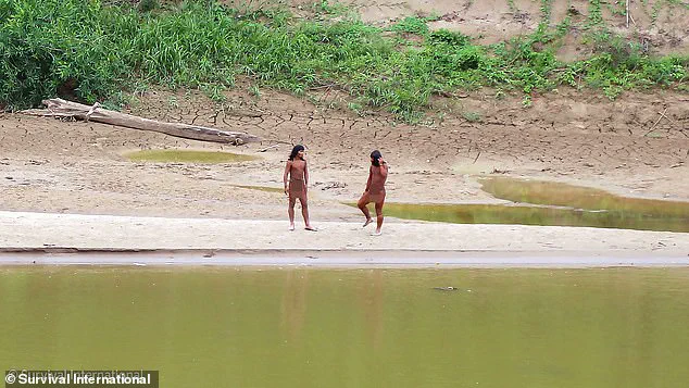 Existential Threat to Uncontacted Mashco Piro Tribe in Peruvian Amazon Due to Disease Vulnerability