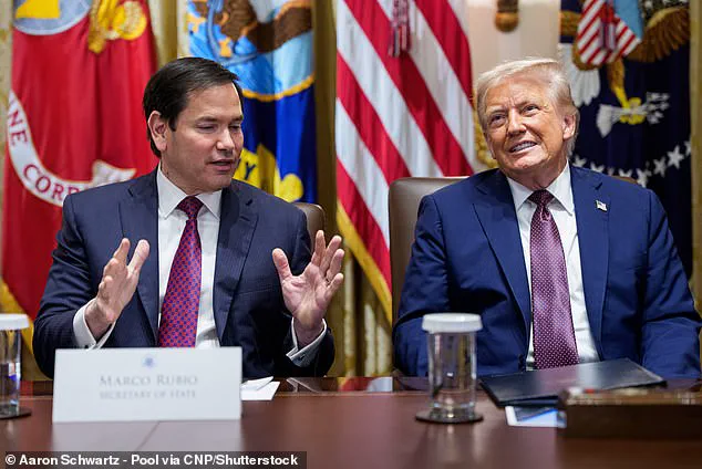 Prince Harry's US Visa Status: Two-Year Saga and Trump-Linked Document Discoveries