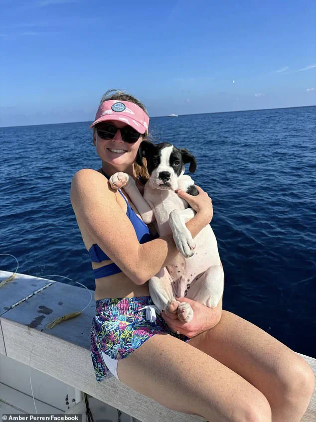 Florida Optometrist Survives Terrifying Alligator Attack on St. Lucie River