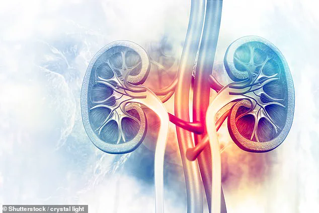 Urgent Alert: Kidney Cancer's Elusive Symptoms Put Thousands at Risk, Specialist Warns