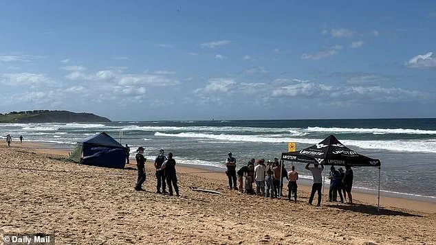 Veteran Surfer Mercury 'Merc' Psillakis Killed by Great White Shark at Dee Why Beach, Sparking Community Outcry