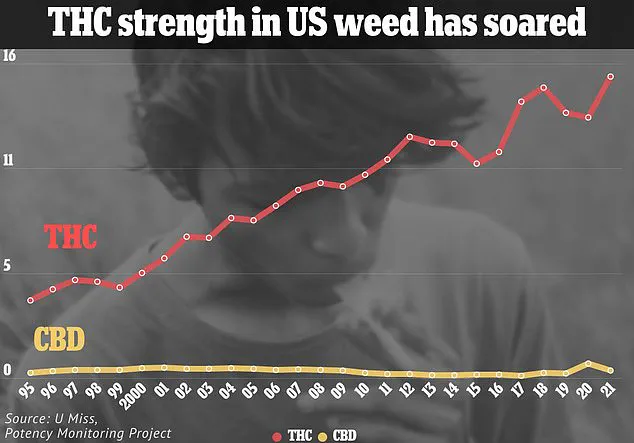 Surge in Potency Linked to Rising Mental Health Risks: Experts Sound Alarm on High-THC Cannabis and Psychiatric Emergencies