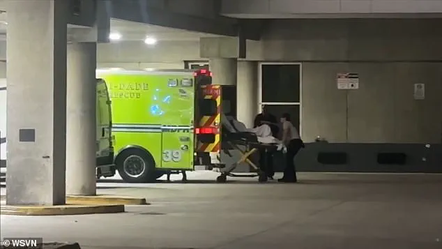 Royal Caribbean Cruise Ship Forced to Return to Miami After Violent Altercation Leaves Two Hospitalized, Raising Safety Concerns