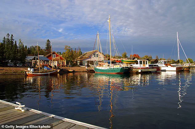 The Influence of Environmental Conditions on the Timing and Vibrancy of Fall Foliage in the United States
