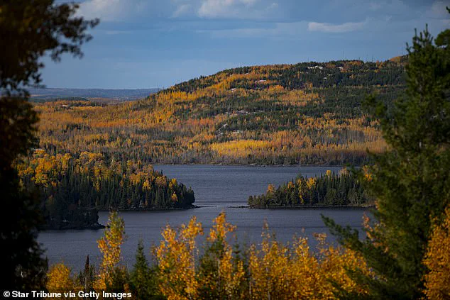 The Influence of Environmental Conditions on the Timing and Vibrancy of Fall Foliage in the United States