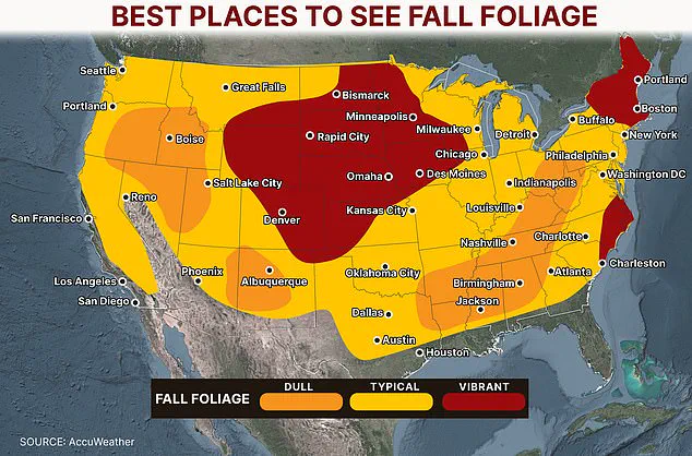 The Influence of Environmental Conditions on the Timing and Vibrancy of Fall Foliage in the United States