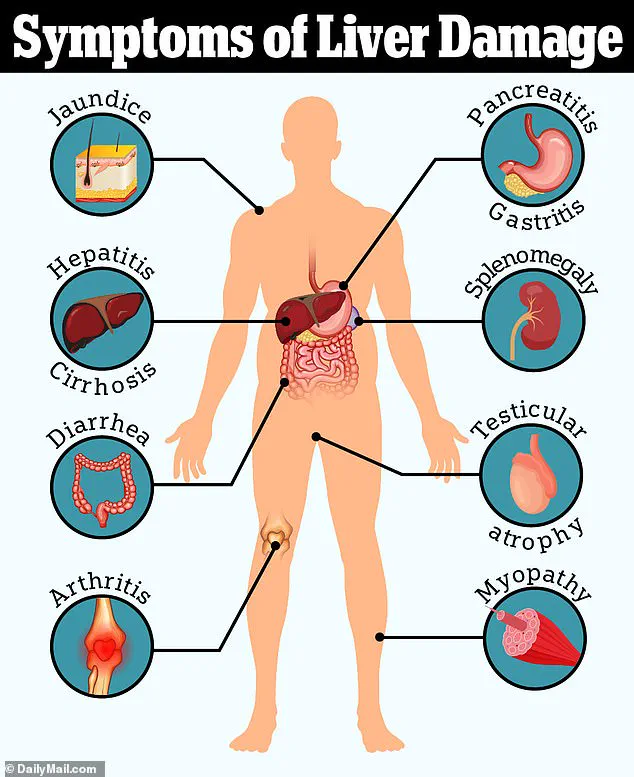 Silent Epidemic: 80–100 Million Adults in the U.S. May Live with Undiagnosed Fatty Liver Disease, Experts Warn