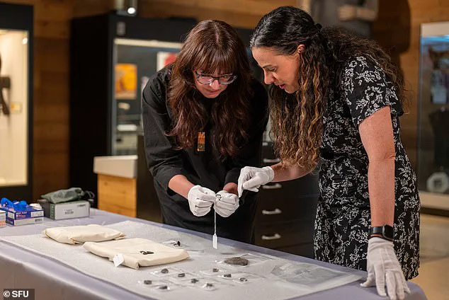 Ancient Artifacts Discovered in Canadian Thrift Store Spark Interest Among Archaeologists and Historians