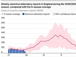 Expert Warns Vaping During or After Illness Could Exacerbate Long-Term Health Risks from Covid-19, Leading to Irreversible Respiratory Harm