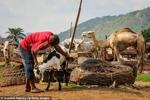 Osterholm Warns: A New Pandemic Could Kill 7 Million Americans, 20 Times More Globally