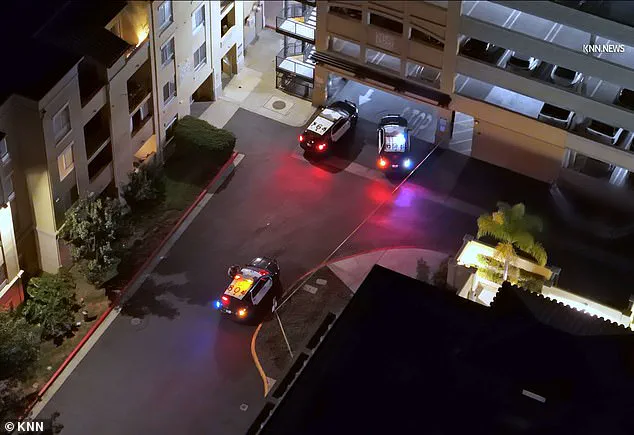 Cordoned Off: Limited Access to Mysterious Discovery Scene as Investigation Intensifies