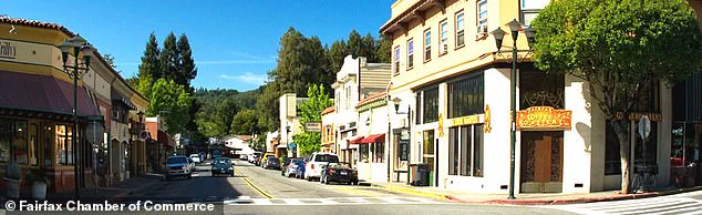 Fairfax Residents Protest Affordable Housing Development, Putting Local Politicians Under Pressure