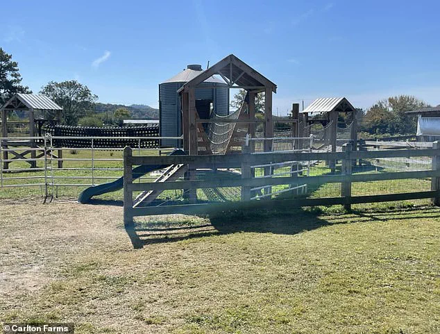 Six-Year-Old Victoria King's Tragic Death During Georgia School Field Trip Sparks Calls for Accountability Over Pool Incident