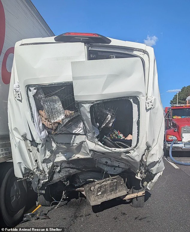 Deadly Six-Vehicle Pileup on Georgia's Interstate 85 Claims Eight Lives in Latest Tragedy