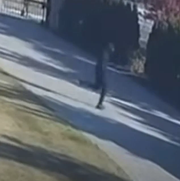 Arab-American Businessman Shot in Front Yard in Macomb County: Security Footage Reveals Masked Suspect