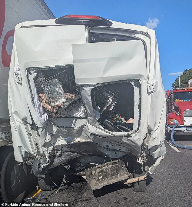 Tragedy on I-85 Highlights Legal Repercussions of Traffic Violations