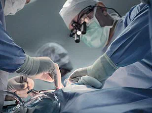 Medical Drama 'The Pitt' Linked to Surge in Organ Donation Registrations, Study Finds