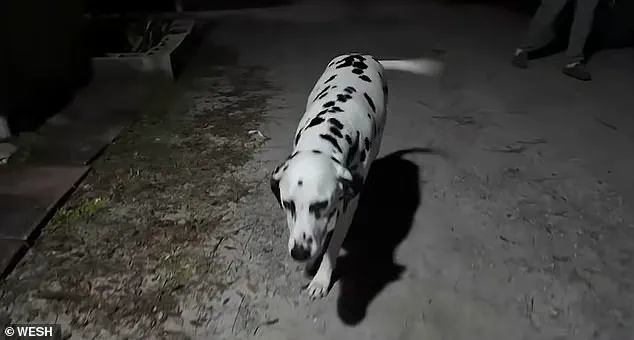 Deportation After a Minor Altercation: The Impact of Federal Regulations on Local Communities