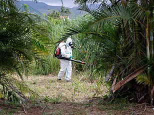 Exclusive Insights: Surge in Hand, Foot, and Mouth Disease Cases Reveals Hidden Patterns in U.S. Outbreak