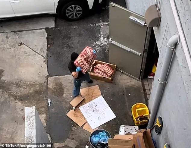 Health Inspectors Close Milpitas Restaurant Over Critical Violations, Experts Warn of Public Health Risks