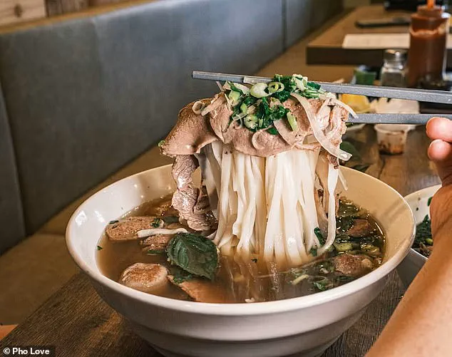 Health Inspectors Close Milpitas Restaurant Over Critical Violations, Experts Warn of Public Health Risks