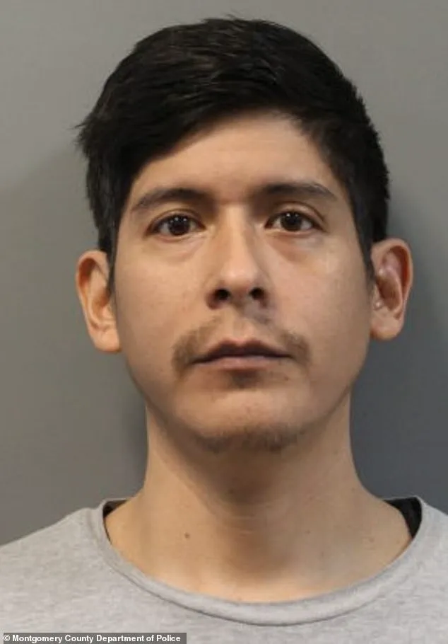 Exclusive Tip and Privileged Access Drive Breakthrough in Missing Teen Case