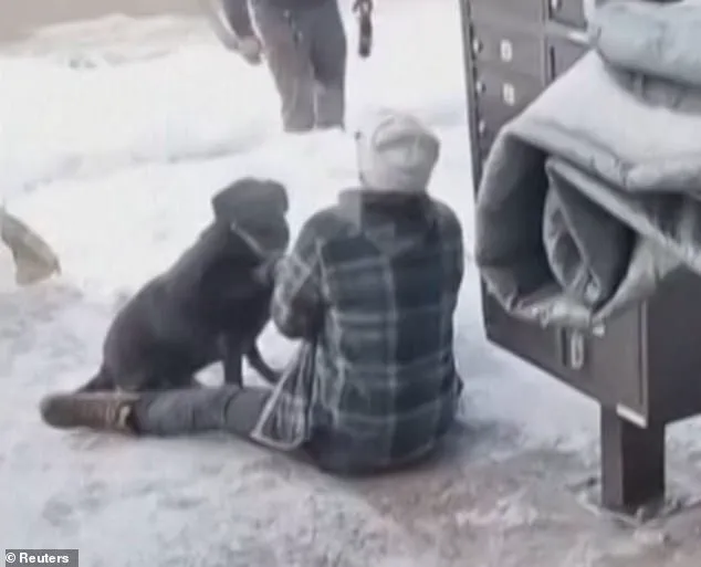 Death of Renee Nicole Macklin Good at ICE Hands Reveals Tragedy and Political Controversy