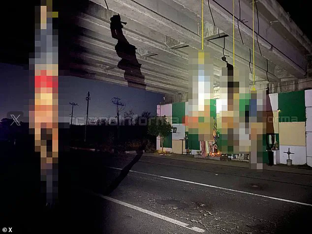 Mexican Drug War Escalates as Cartels' Brutal Tactics Fuel Surge in Violence and Civilian Deaths