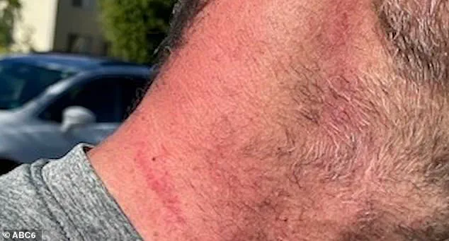 Melissa Mullin Sims Faces Legal Battle Over AI-Fabricated Evidence in Domestic Violence Case