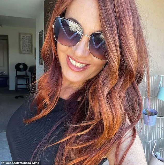 Melissa Mullin Sims Faces Legal Battle Over AI-Fabricated Evidence in Domestic Violence Case