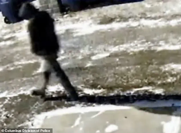 Family of Monique and Spencer Tepe Speaks Out, Suspects Ex-Husband Michael McKee in Murders, Arrest Made