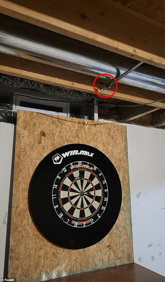 Viral Reddit Puzzle Challenges Users to Find the Missing Dart in Viral Image