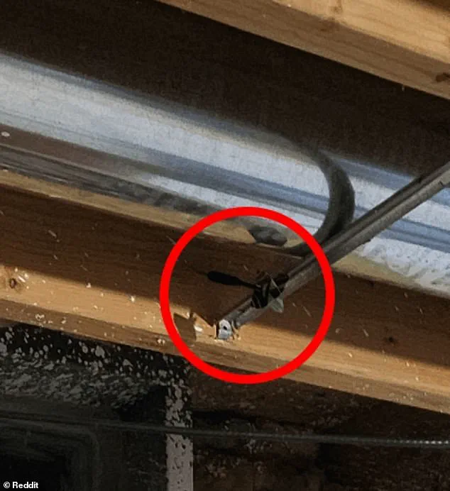 Viral Reddit Puzzle Challenges Users to Find the Missing Dart in Viral Image