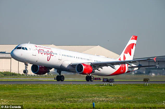 Air Canada Flight Trapped Baggage Handler Rescued in Urgent Airport Emergency – Toronto Pearson Incident