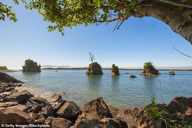 After 20 Years, Skeletal Remains Identified as Missing Oregon Mayor