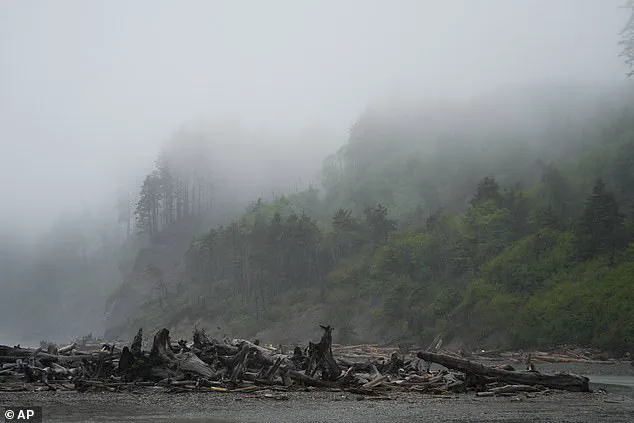 After 20 Years, Skeletal Remains Identified as Missing Oregon Mayor