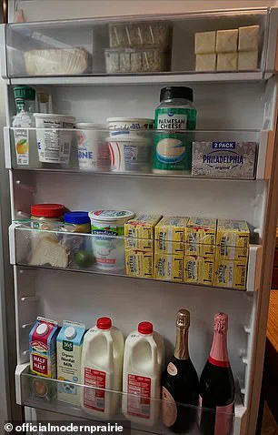 Behind Closed Doors: The Silence Surrounding Melissa Gilbert and the Allegations Against Her Husband