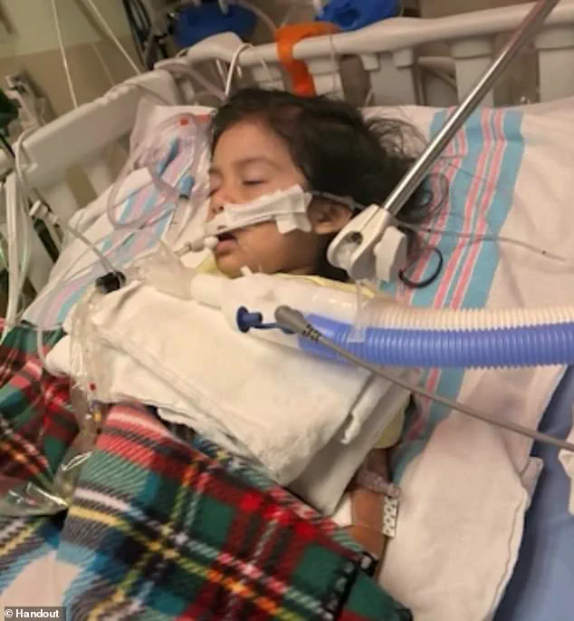 Public Health Officials Sound Alarms: Limited Access to Critical Flu Data Sparks Urgent Expert Advisories