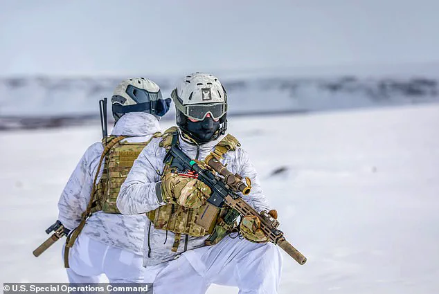 Privileged Access, Limited Control: Greenland's Strategic Role in US-NATO Security