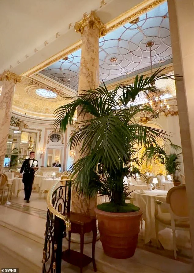 Ritz London Faces Crisis as Mouse Incident Sparks Systemic Failure Concerns