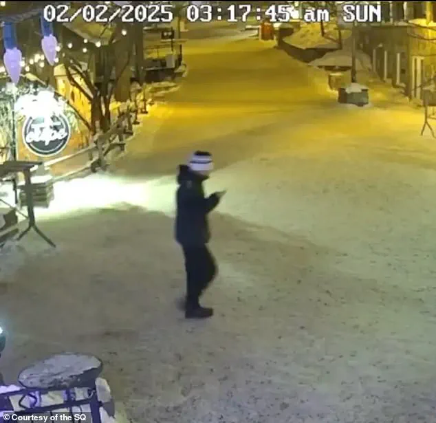 Frozen in Time: The Unsolved Mystery of Liam Gabriel Toman's Disappearance