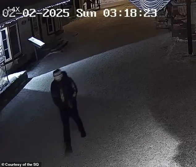 Frozen in Time: The Unsolved Mystery of Liam Gabriel Toman's Disappearance