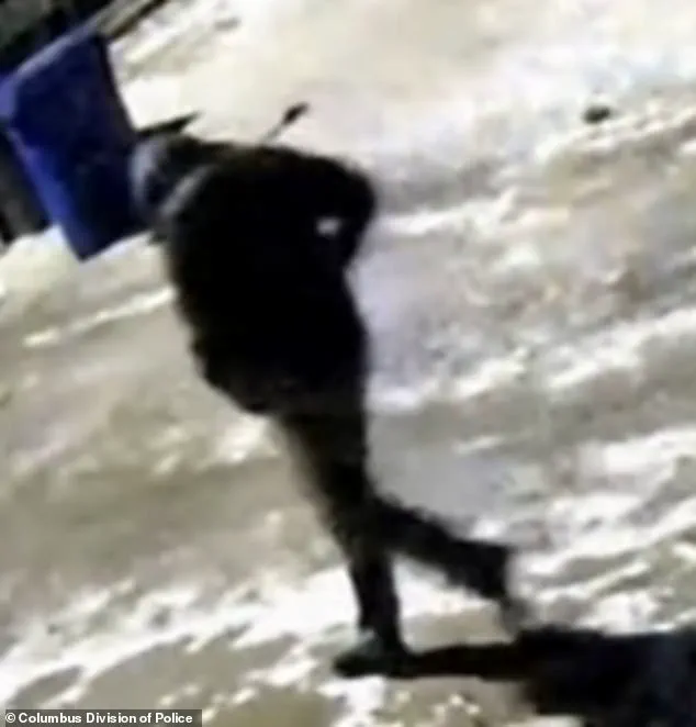 Impact of Gun Regulations on Public Safety Highlighted by Tragic Ohio Murder Case