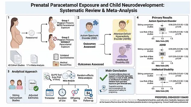 Scientific Consensus Reaffirms Paracetamol Safety for Pregnant Women, Countering Political Rhetoric