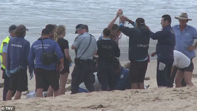 Urgent Lockdown Imposed on Sydney's Northern Beaches After Surge in Shark Attacks; Surfer in Critical Condition Following Latest Incident