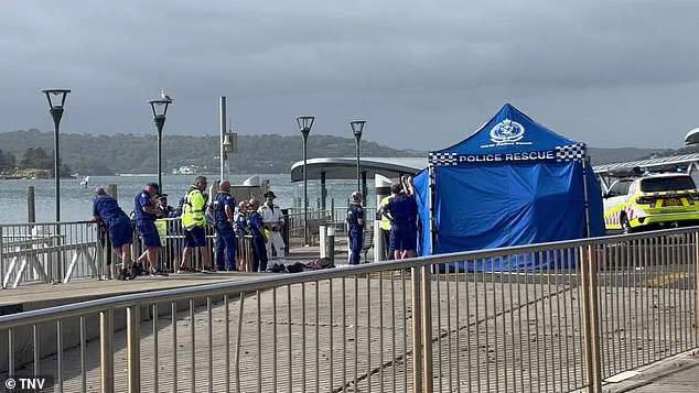 Urgent Lockdown Imposed on Sydney's Northern Beaches After Surge in Shark Attacks; Surfer in Critical Condition Following Latest Incident