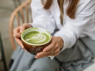 Gut Health Revolution: How Probiotic-Rich Foods Are Reshaping Modern Nutrition