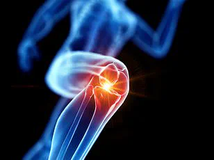Stanford Researchers Develop Novel Drug to Reverse Age-Related Cartilage Loss, Offering New Hope for Knee Arthritis Prevention